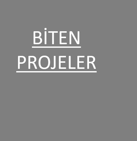 BİTEN PROJELER